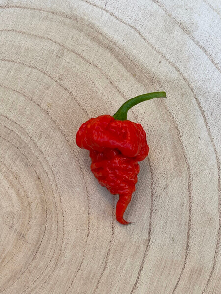 Reaper Brain Red